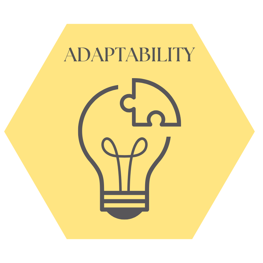 Flexible Thinking and Learning